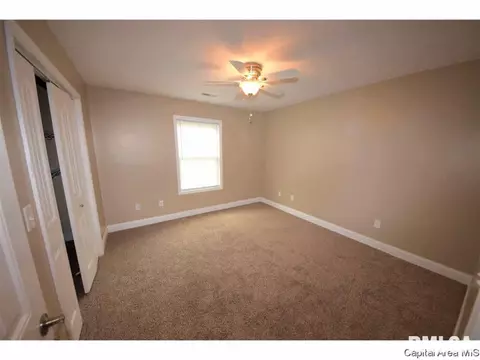 502 E Spruce St, Chatham, IL 62629 photo 8