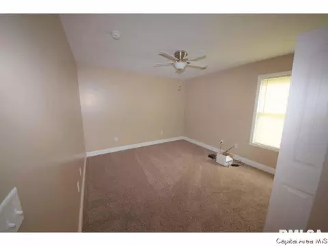 502 E Spruce St, Chatham, IL 62629 photo 12