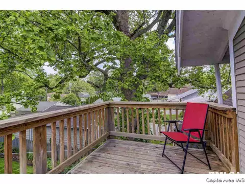 1808 S Park Ave, Springfield, IL 62704 photo 30