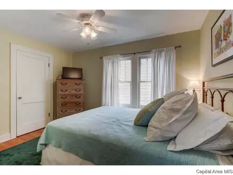 1808 S Park Ave, Springfield, IL 62704 photo 25