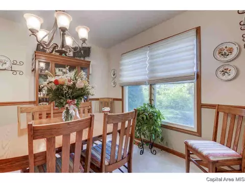 1813 Tremont Dr, Springfield, IL 62711 photo 13