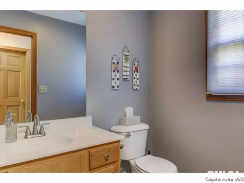 1813 Tremont Dr, Springfield, IL 62711 photo 21