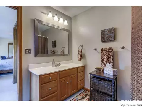 1813 Tremont Dr, Springfield, IL 62711 photo 32