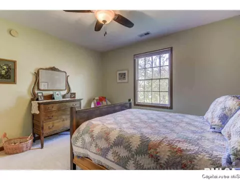 1813 Tremont Dr, Springfield, IL 62711 photo 25
