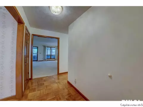 3013 Turning Mill Dr, Springfield, IL 62704 photo 8