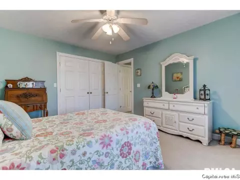 2525 Shadow Chaser Dr, Springfield, IL 62711 photo 22