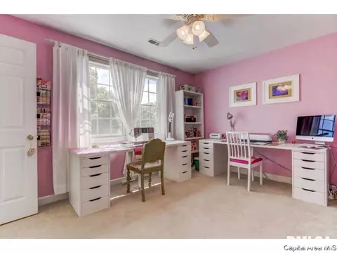 2525 Shadow Chaser Dr, Springfield, IL 62711 photo 19