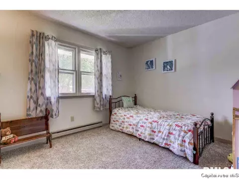 216 Deerhead Ln, Springfield, IL 62704 photo 9
