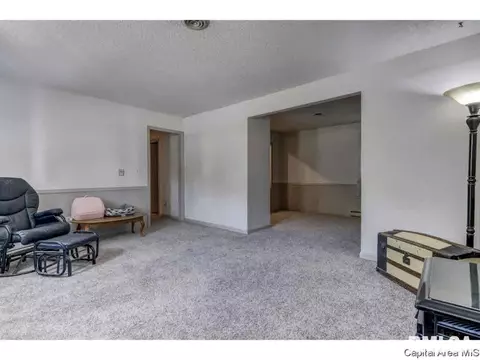 216 Deerhead Ln, Springfield, IL 62704 photo 15