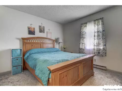 216 Deerhead Ln, Springfield, IL 62704 photo 11