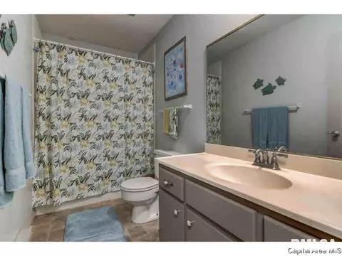 216 Deerhead Ln, Springfield, IL 62704 photo 10
