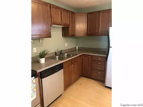1809 Camden Dr, Springfield, IL 62702 photo 6