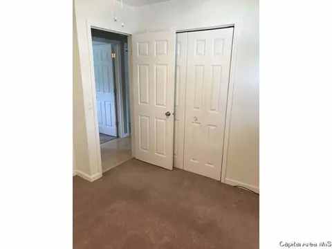1809 Camden Dr, Springfield, IL 62702 photo 16