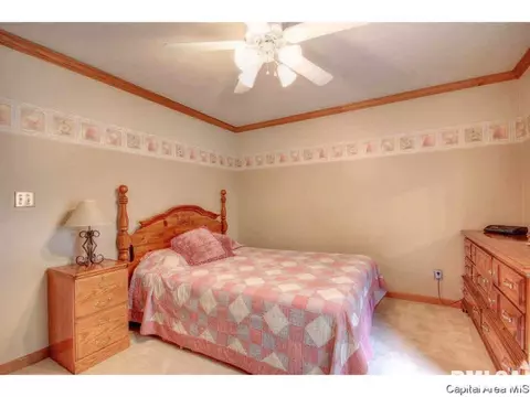 4447 Foxbury Ln, Springfield, IL 62711 photo 15