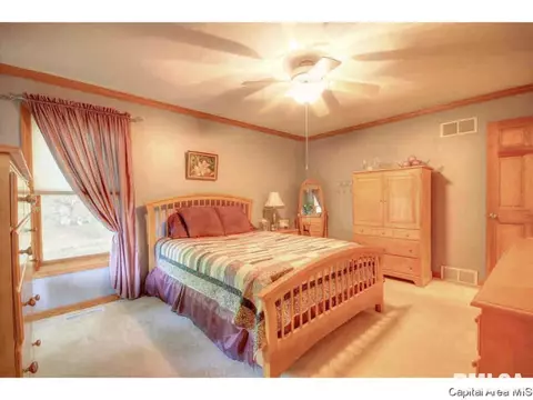 4447 Foxbury Ln, Springfield, IL 62711 photo 20