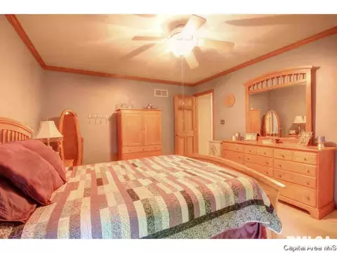 4447 Foxbury Ln, Springfield, IL 62711 photo 19