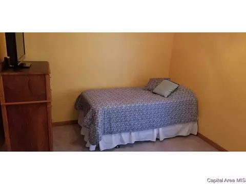 1710 Tern Pl, Springfield, IL 62711 photo 19