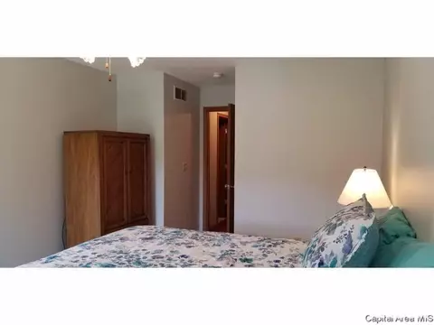 1710 Tern Pl, Springfield, IL 62711 photo 15