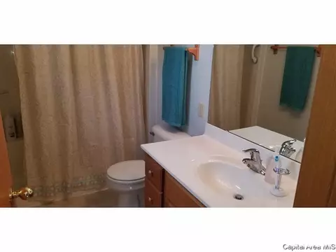 1710 Tern Pl, Springfield, IL 62711 photo 17