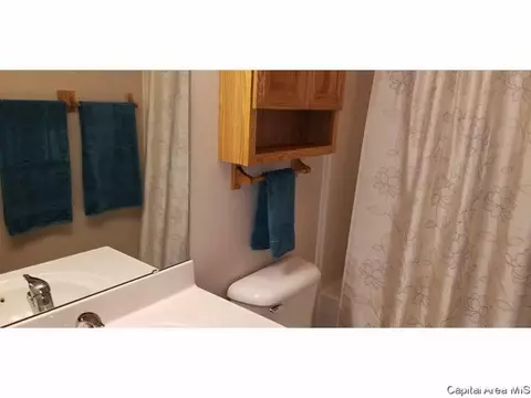 1710 Tern Pl, Springfield, IL 62711 photo 11