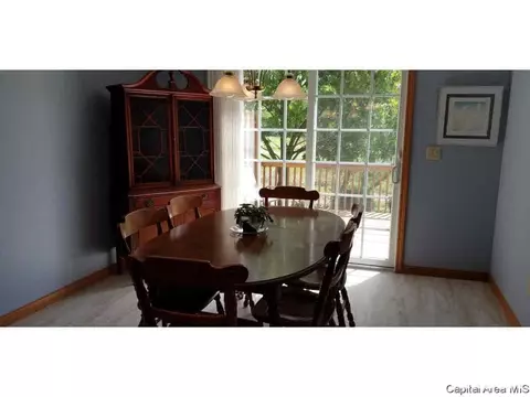 1710 Tern Pl, Springfield, IL 62711 photo 8