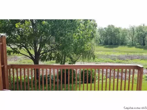 1710 Tern Pl, Springfield, IL 62711 photo 10