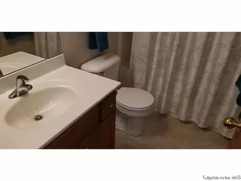 1710 Tern Pl, Springfield, IL 62711 photo 12