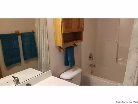 1710 Tern Pl, Springfield, IL 62711 photo 13