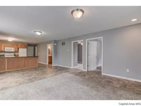 727 N 7th St, Springfield, IL 62702 photo 4