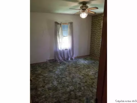 1805 N 14th St, Viola, IL 61486 photo 11