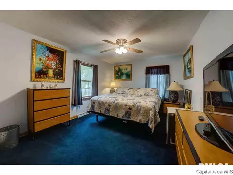 3237 St Francis Dr, Springfield, IL 62703 photo 12
