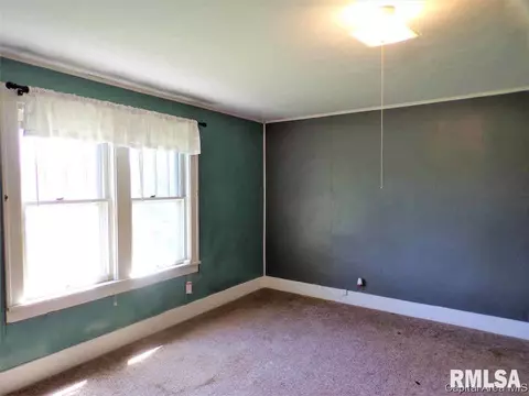 433 W Chestnut St, Oneida, IL 61467 photo 16