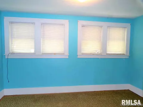 433 W Chestnut St, Oneida, IL 61467 photo 20