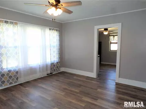 433 W Chestnut St, Oneida, IL 61467 photo 9