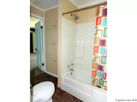 433 W Chestnut St, Oneida, IL 61467 photo 23