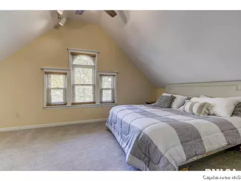 1517 Holmes, Springfield, IL 62704 photo 21