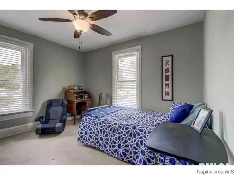 1517 Holmes, Springfield, IL 62704 photo 20