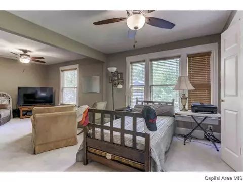 1517 Holmes, Springfield, IL 62704 photo 17