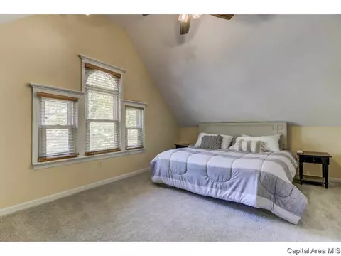 1517 Holmes, Springfield, IL 62704 photo 22