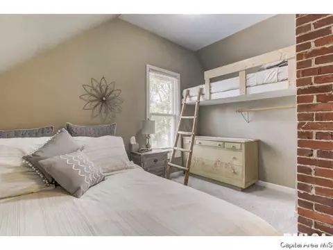 1517 Holmes, Springfield, IL 62704 photo 24