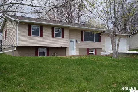 2633 Cedar View Dr, Fowler, IL 62338 photo 1