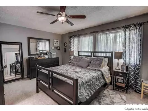 17 Trailridge Ln, Springfield, IL 62704 photo 17