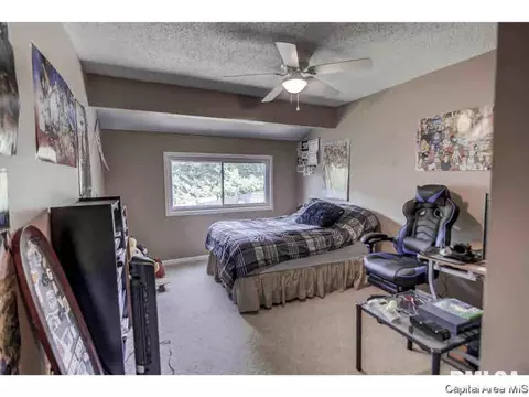 17 Trailridge Ln, Springfield, IL 62704 photo 10