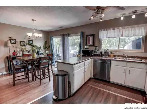 17 Trailridge Ln, Springfield, IL 62704 photo 4