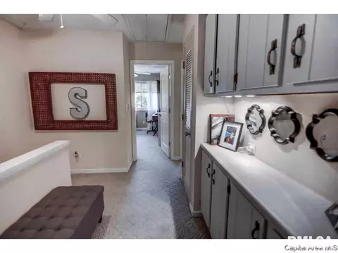 17 Trailridge Ln, Springfield, IL 62704 photo 20