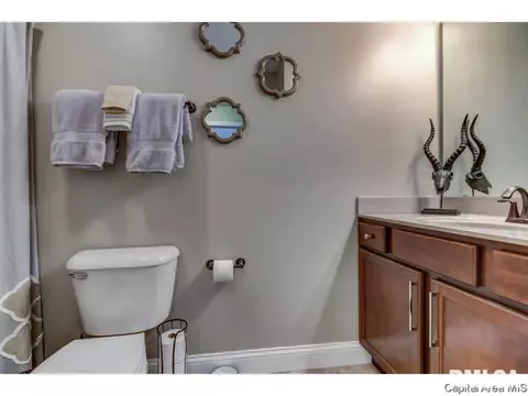 1401 Lake Pointe, Springfield, IL 62712 photo 30
