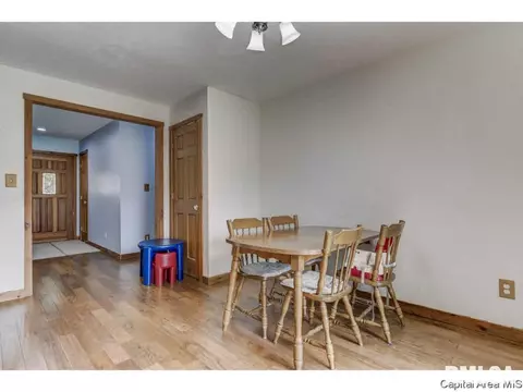 35 Devine Dr, Riverton, IL 62561 photo 9