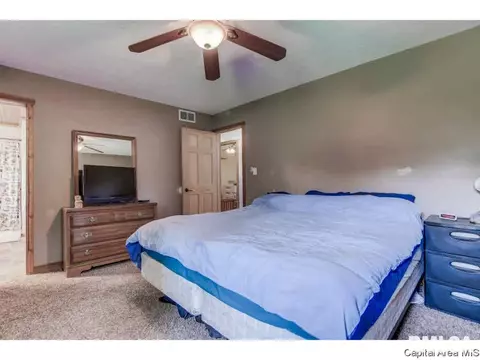35 Devine Dr, Riverton, IL 62561 photo 17