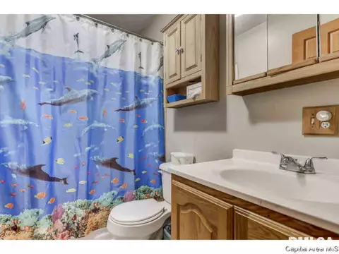 35 Devine Dr, Riverton, IL 62561 photo 24