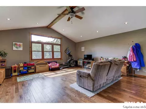 35 Devine Dr, Riverton, IL 62561 photo 13